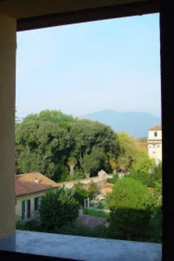 Helvetia Pisa Tower Guest House